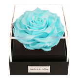 Astoria - Tiffany Blue