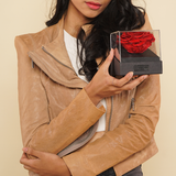 Astoria - Angelic White