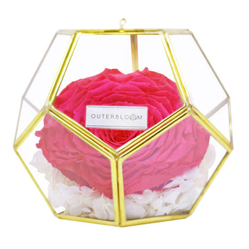 Crystal Florarium - Classy Pink