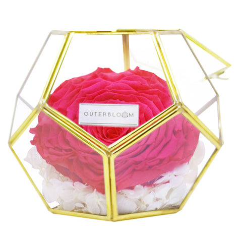 Crystal Florarium - Classy Pink