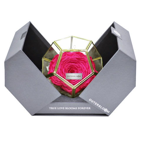 Crystal Florarium - Classy Pink