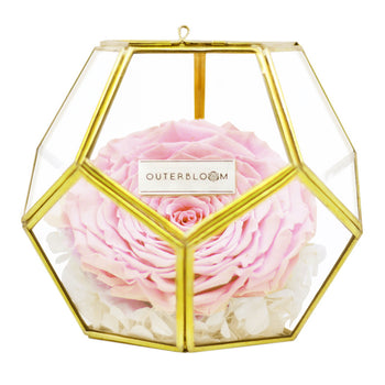 Crystal Florarium - Innocent Pink