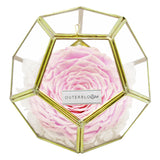 Crystal Florarium - Innocent Pink