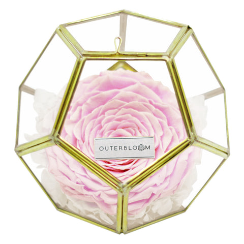 Crystal Florarium - Innocent Pink