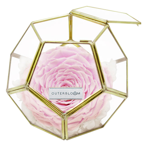 Crystal Florarium - Innocent Pink