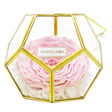 Crystal Florarium - Innocent Pink