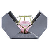 Crystal Florarium - Innocent Pink