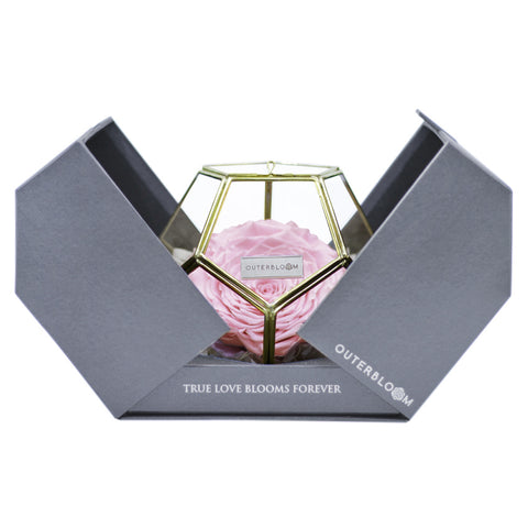 Crystal Florarium - Innocent Pink