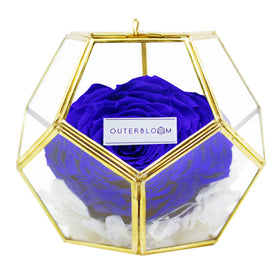 Crystal Florarium - Midnight Blue