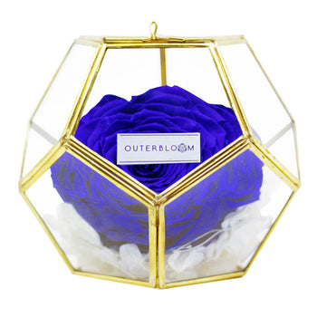 Crystal Florarium - Midnight Blue