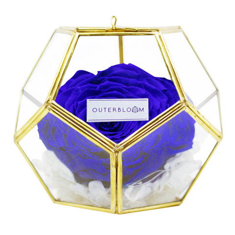 Crystal Florarium - Midnight Blue