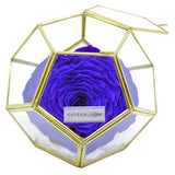 Crystal Florarium - Midnight Blue