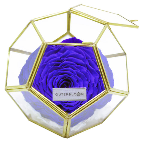 Crystal Florarium - Midnight Blue