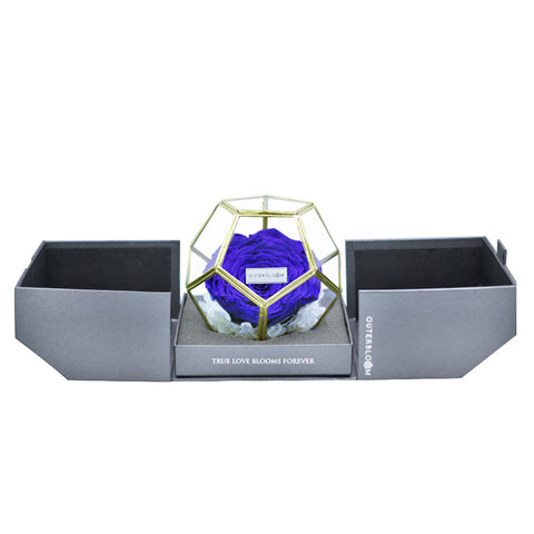 Crystal Florarium - Midnight Blue