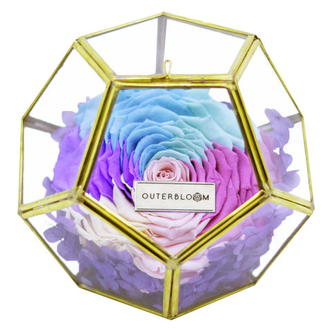 Crystal Florarium - Pastel Rainbow
