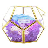 Crystal Florarium - Pastel Rainbow