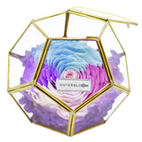 Crystal Florarium - Pastel Rainbow