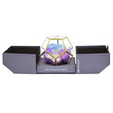 Crystal Florarium - Pastel Rainbow