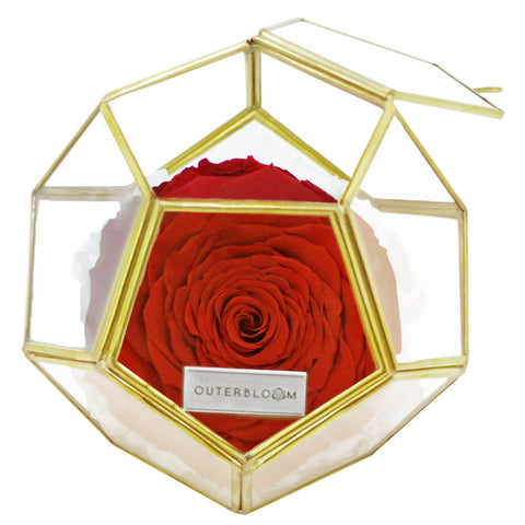 Crystal Florarium - Passionate Red