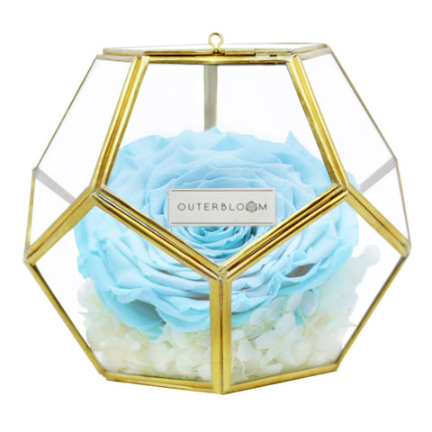 Crystal Florarium -  Tiffany Blue