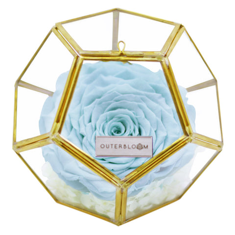Crystal Florarium -  Tiffany Blue