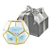 Crystal Florarium -  Tiffany Blue