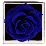 Astoria - Midnight Blue