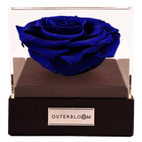 Astoria - Midnight Blue