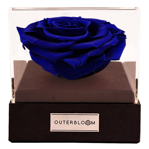 Astoria - Midnight Blue