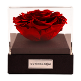 Astoria - Passionate Red