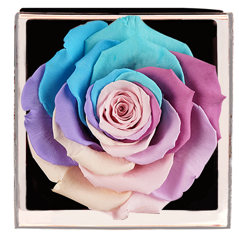 Astoria - Pastel Rainbow