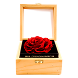 Heritage Box - Passionate Red