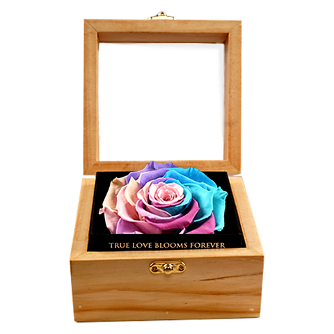 Heritage Box - Pastel Rainbow