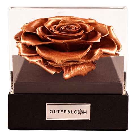 Astoria - Champagne Gold