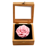 Heritage Box - Innocent Pink