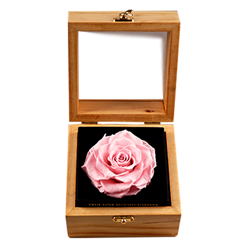 Heritage Box - Innocent Pink