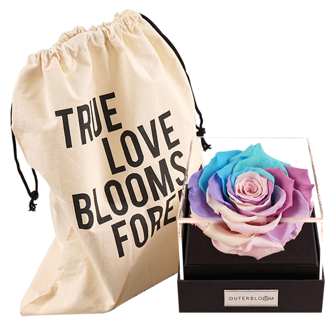 Astoria - Pastel Rainbow