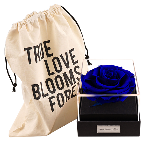 Astoria - Midnight Blue