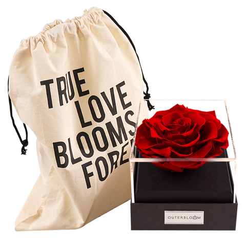 Astoria - Passionate Red