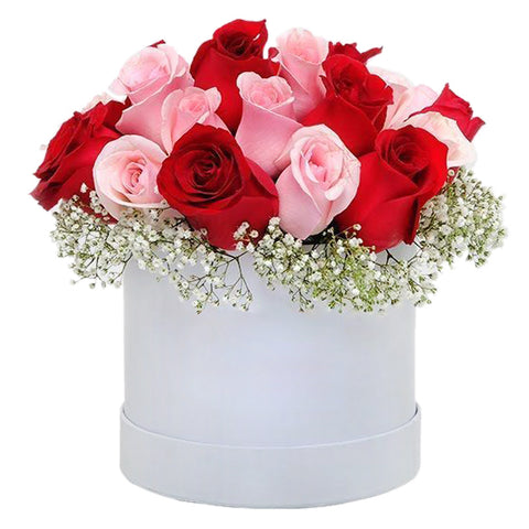 Special Magenta and Ruby Asortment