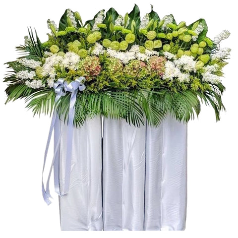 An Extraordinary Life