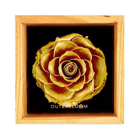 Heritage Box - Royal Gold