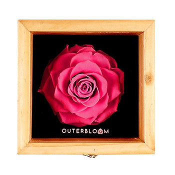 Heritage Box - Classy Pink