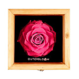 Heritage Box - Classy Pink