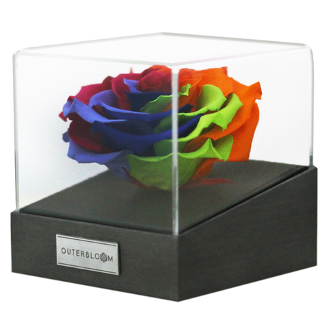 Astoria - Magic Rainbow