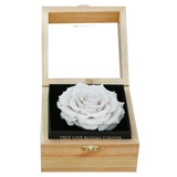Heritage Box - Angelic White