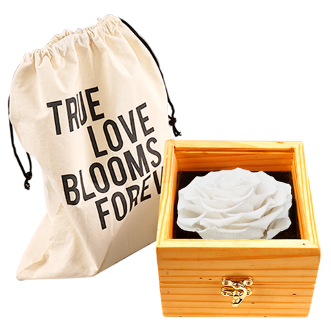 Heritage Box - Angelic White