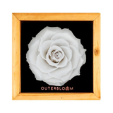 Heritage Box - Angelic White