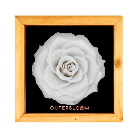 Heritage Box - Angelic White