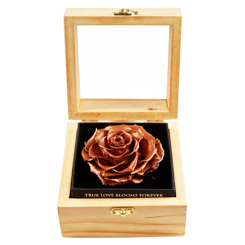 Heritage Box - Champagne Gold